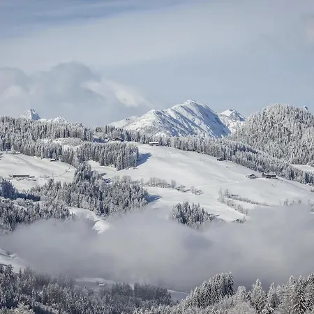 Blackstyle By Alpenluxus Апартаменты Брикслегг